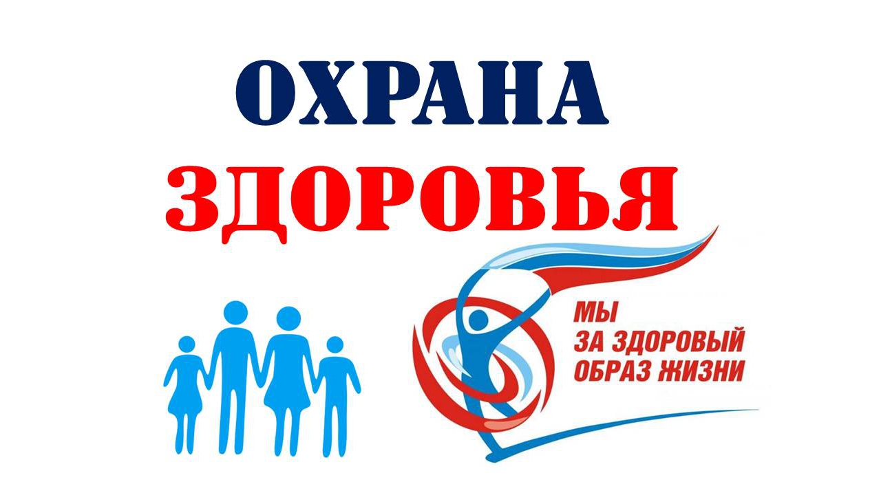 организация здоровья